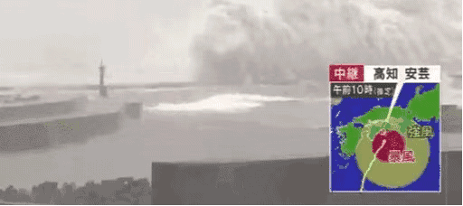 日本末日台风这一幕看哭国人,她不完美,可我爱她