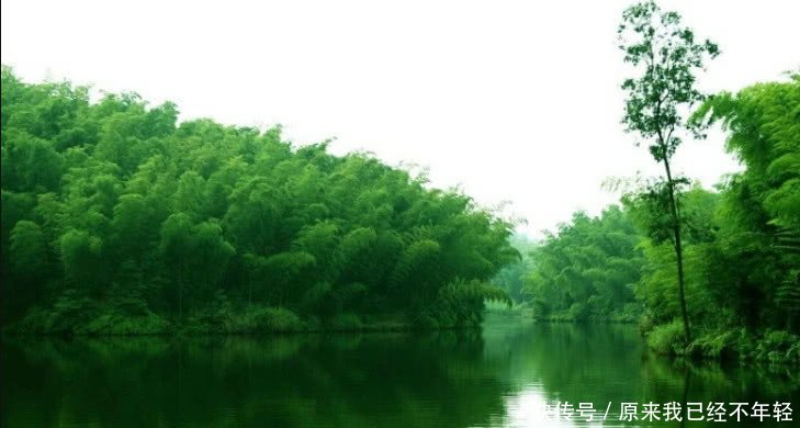 四川有望崛起的城市，有机场、码头，高铁开通也指日可待！