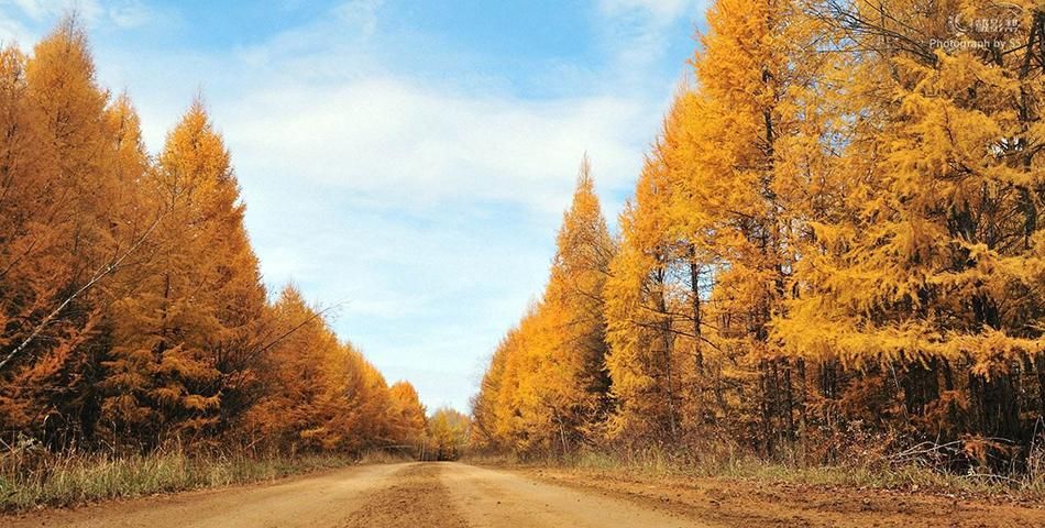 9月初秋国内游，3个最美秋景观赏地