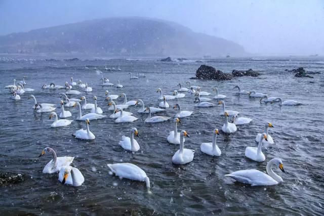 最适合春节旅行的目的地,小众冷门,避开人山人海!