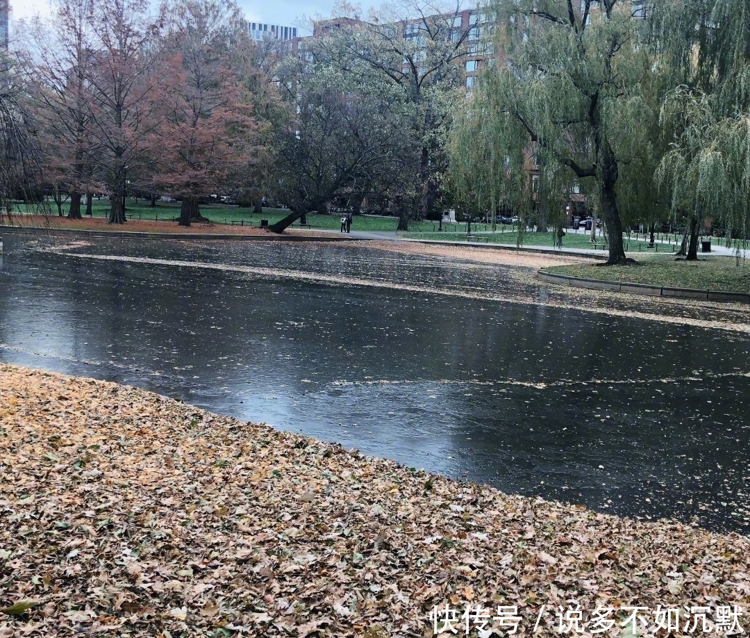 王俊凯粉丝王源