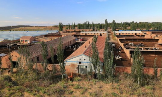 农村三大禁养区,违规养殖将被重罚!不想中招的