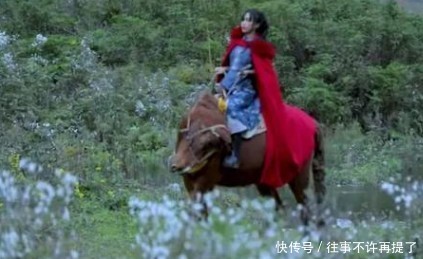 李子柒是怎么能红的