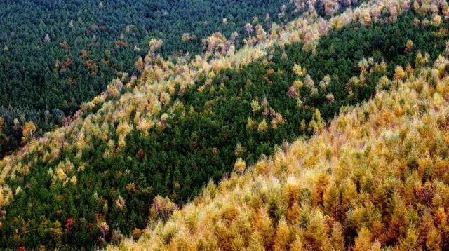 秋日里，山西20处绝美赏秋胜地美的像仙境