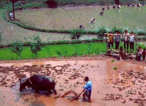  「回忆」那些七，八十年代的农村老照片，看完都是满满的回忆