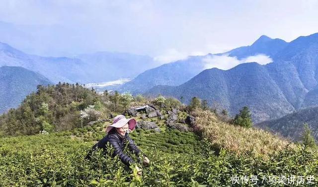  『安徽』9个采茶圣地！别只知踏青赏花，清明小长假去江苏安徽浙江这些地