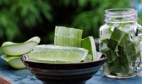 你不知道的芦荟祛斑美白方法，每天敷一敷，让你轻松拥有无暇肌肤