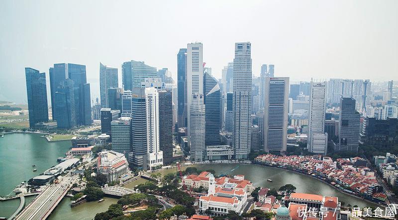 新加坡人几乎从不做饭,令国人羡慕不已,他们靠什么生活?