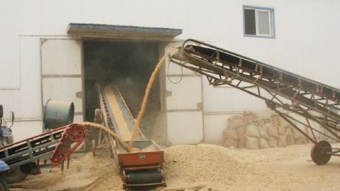  农户@年前小麦价格能涨到1.2元/斤吗？看了这些地区的价格，农户