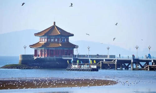 山东省三大宜居的城市大角逐！青岛、威海、济南谁能脱颖而出呢？