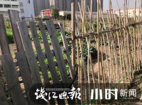  围墙@2米高啊！杭州这群人天天在这翻围墙！往里一望目瞪口呆