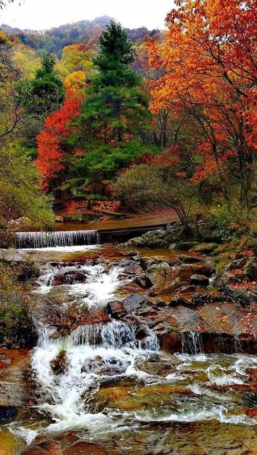 秦岭私藏2条自驾公路,秋季美成天堂,霸占北方最绚烂秋景