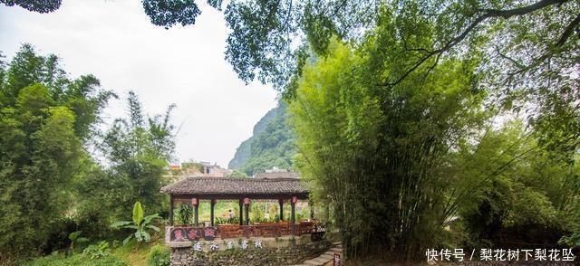  百岁老人：广西最适合养老的城市，被评为世界长寿市，百岁老人超过450位