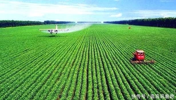  大国|同样是人口大国，为何中国满世界买粮食，印度却不断出口卖