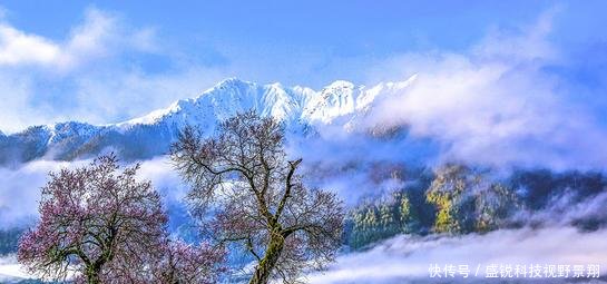 美国人公认的中国必去5大景点,你去过几处