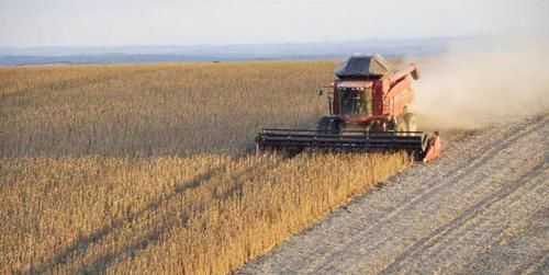  「大国」同样是人口大国，为何印度向全球出口粮食，中国却满世界进口粮食