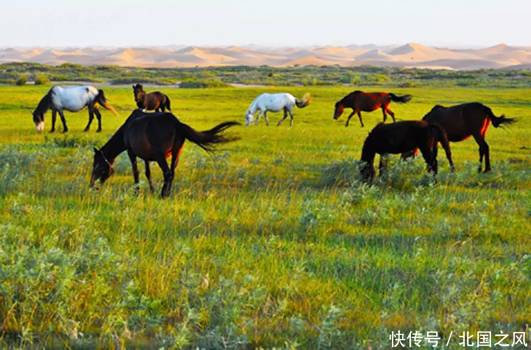 9月,等一个人陪我去看这8个地方最美的秋天