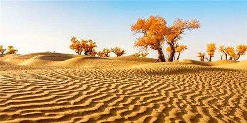 海水取之不尽,那用它来灌溉沙漠会怎样?沙特带来的教训值得深思