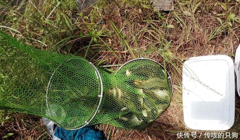 春季|春季钓鱼,熟记3钓3不钓,钓好鱼很轻松