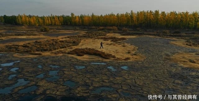  [提高农村]2020年农村土地整治范围扩大，针对四类土地清理，两