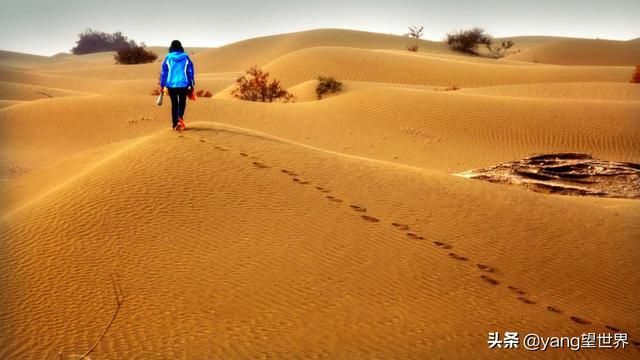 为何沙漠里的西瓜无人吃，了解原因以后，即使口渴也要躲得远远的
