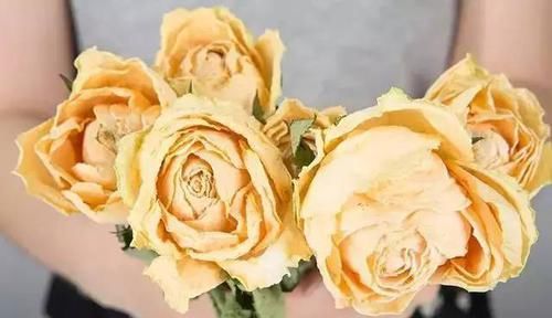  【最简单】干花制作教程：把七夕收到的鲜花美丽定格，做个干花漂流瓶