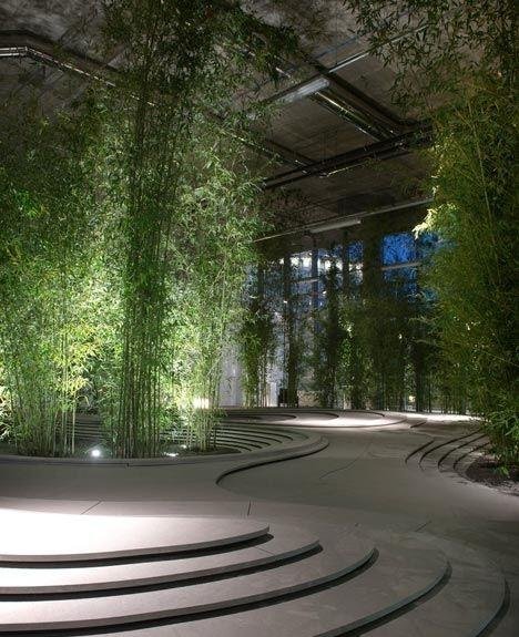 庭院竹子50张图告诉你，花园里种竹子有多高大上，气质瞬间提升