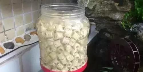  鱼缸：还在用鱼缸养鱼, 太难看了, 在阳台砌个鱼池漂亮又拉风!