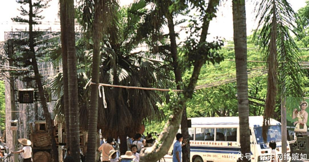 成为经济特区之前 1980年深圳生活