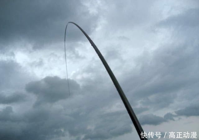  【生活费】鱼跑了, 杆也断了, 钓鱼人半个月的生活费没了