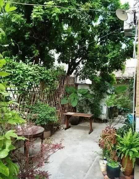  小院@理想中的乡村小院