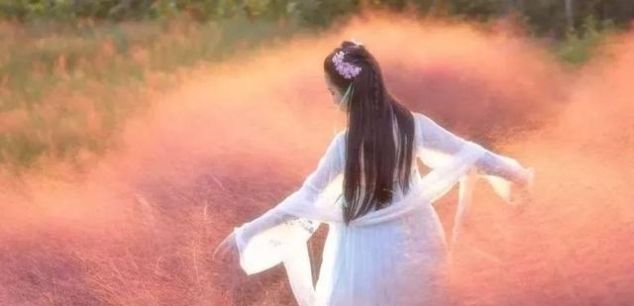 无长假不可怕!周末出发,前往广东的秘密花海!错过再等一年