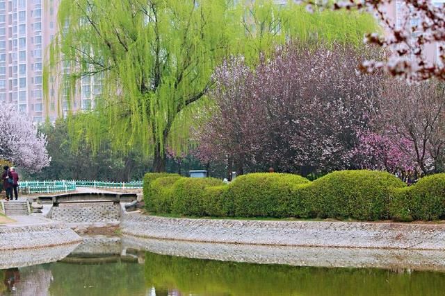 三月春暖花开,又到了寻花问柳的季节!