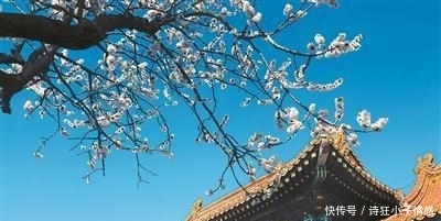 苏唐诗:我心中的故宫,其实很平常