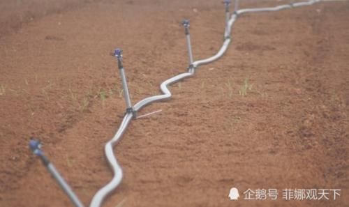  干旱■以色列大部分土地是沙漠，剩下的还很干旱，他们怎样寻找