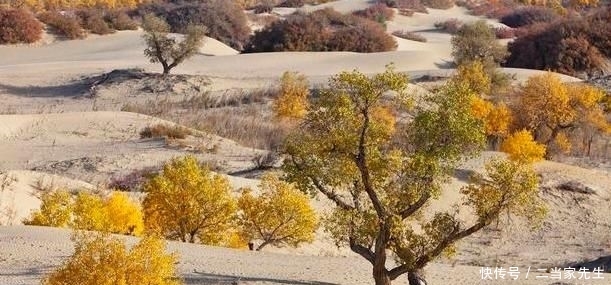  「之耳」中国最“善变”的湖泊，变成沙漠又成水库，还被誉为地