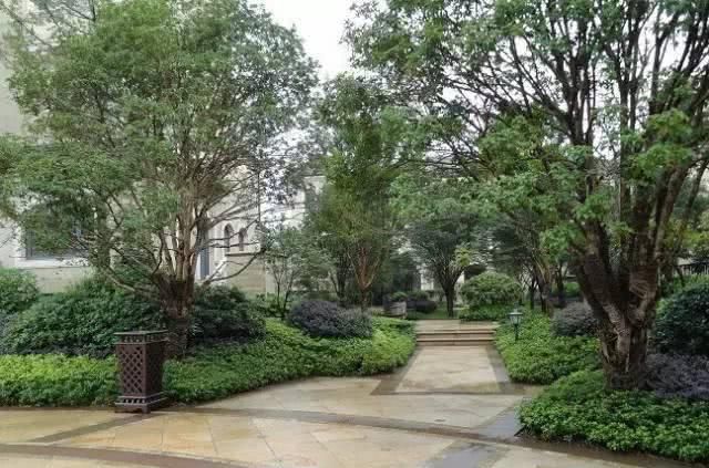 「观赏效果」园林植物搭配技巧,活学活用