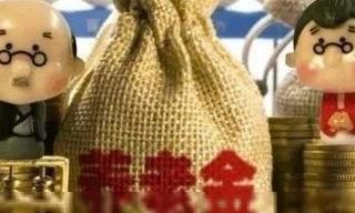  「养老保险金」同样缴纳22年养老保险，退休金却比别人少很多，