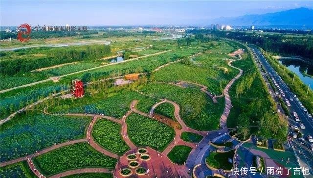 陕西这处千亩荷塘已盛开成海，碧叶连天，人少景美只等你来！