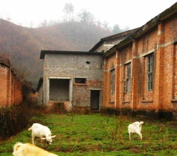 秦岭巴山之间这家兵工厂，建筑破败，一片废墟，成了牛羊的乐园