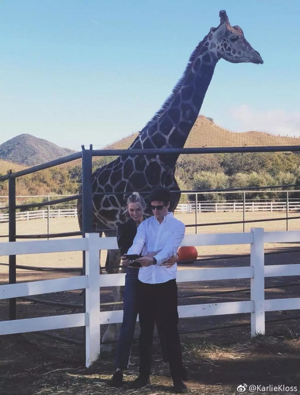 大长腿是老天爷赏饭，可她要过的人生是靠自己来赚!