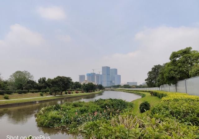 「再次」“旗舰杀手”的再次蜕变 一加8 Pro拍照专项评测