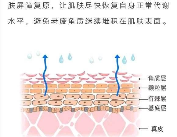  吃法@每天吃一个西红柿，皮肤就能变白？看看女明星们的吃法，普通人嫌寒碜而忽略