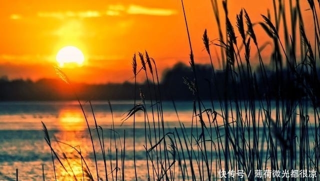  force@年轻人为何不愿缴社保？他们不缴，那些退休的人怎么办？