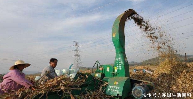  「秸秆」农村实行禁止焚烧秸秆，老农却提出4个问题，专家被问的