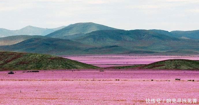 全球第一干旱沙漠，连续91年未下一次雨，却还生活着100多万人