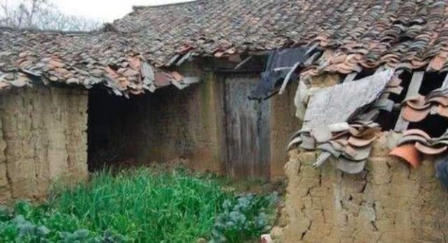 农村的老房子，为什么有人住能百年不倒，而无人住几年就塌了