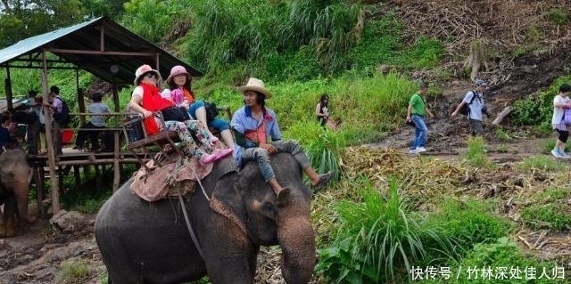 泰国最危险的5个旅游项目，看似很享受的鱼疗，其实暗藏危机