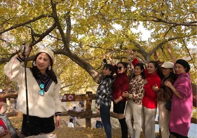 图说中国千年银杏谷