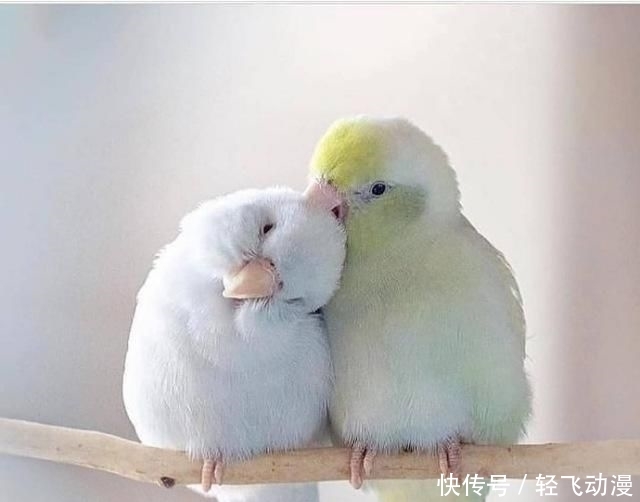 【撩心】情话最撩心短句,说给你最爱的人听吧
